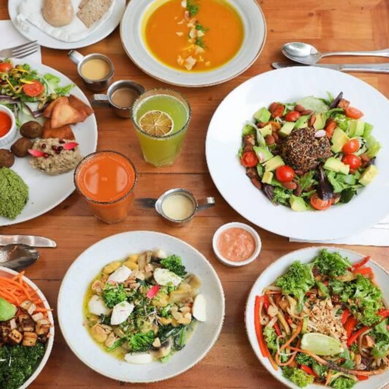 Vegetarian Restaurant Options for Every Taste